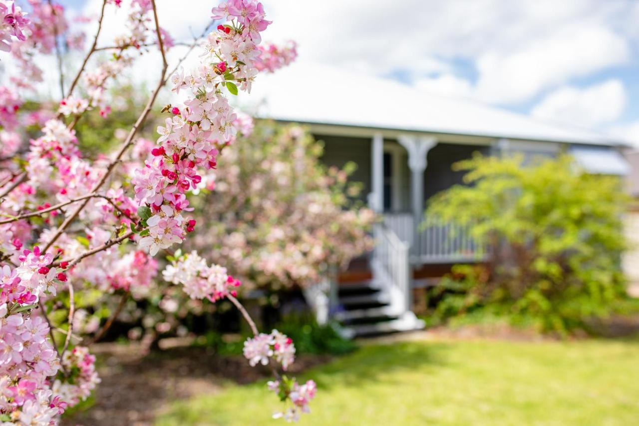 סטאנטהורפה Apple Blossom Cottages מראה חיצוני תמונה
