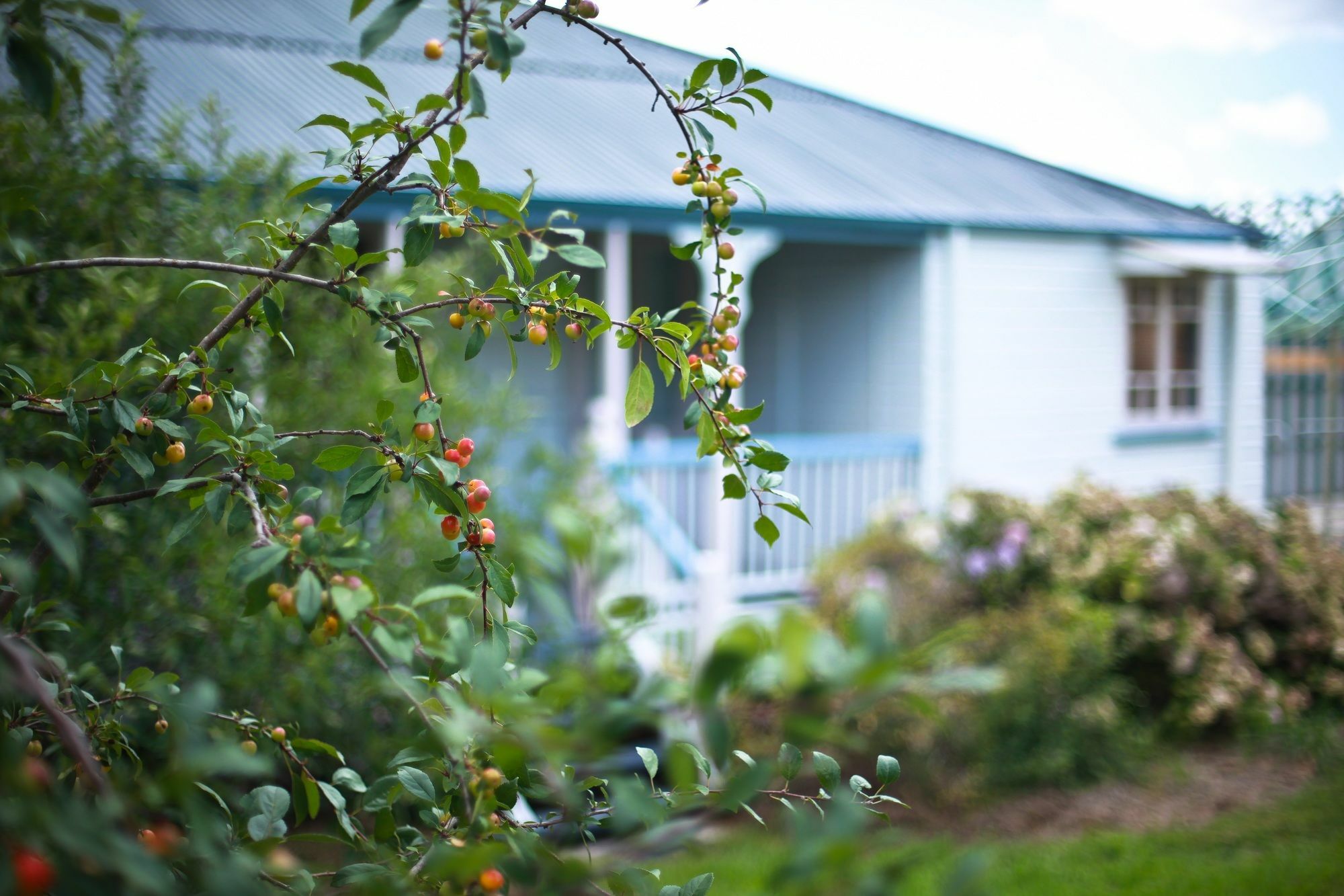 סטאנטהורפה Apple Blossom Cottages מראה חיצוני תמונה